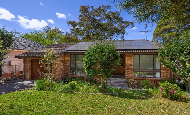 For Rent - 45 Shirlow Avenue - New Property in Faulconbridge - Real Estate by Kristy Leverton